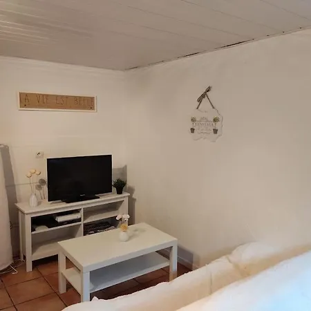 Appartement En Rez De Jardin Et Terrasse Ds Villa Hyeres Exterior photo