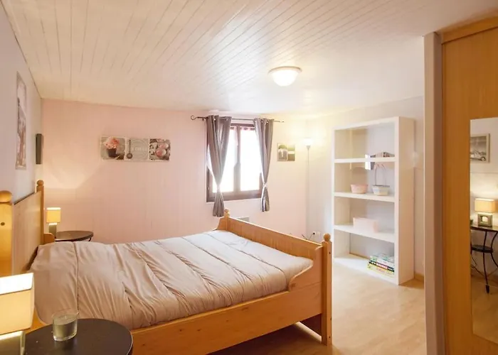 Appartement En Rez De Jardin Et Terrasse Ds Villa