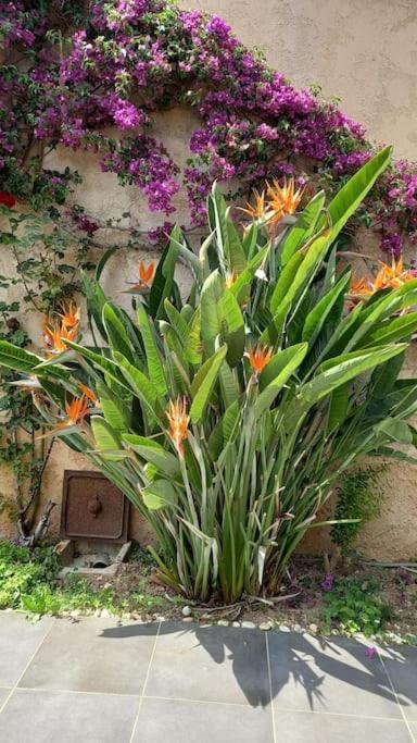 En Rez De Jardin Et Terrasse Ds Appartement