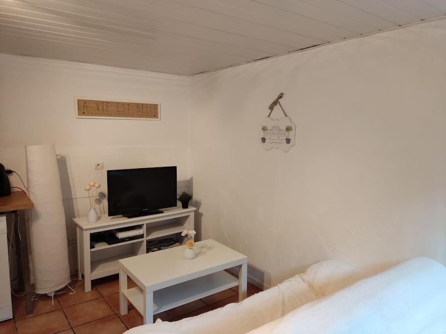 Apartment En Rez De Jardin Et Terrasse Ds
